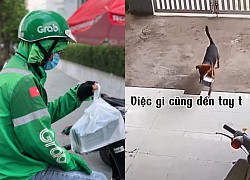 Cô gái tạo dáng vì tưởng shipper chụp hình mình, sự thật khiến dân mạng cười bò