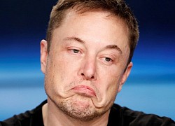 Elon Musk lại "làm trò trẻ con" trên mạng xã hội