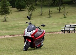 Honda Việt Nam khai tử PCX