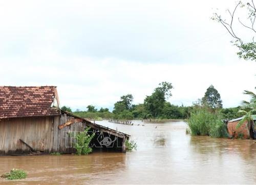 Mưa lớn gây ngập lụt cục bộ tại Ea Súp, Đắk Lắk