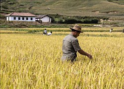 Hành động vì tương lai bền vững