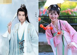 Nghe tin "đối thủ Triệu Lộ Tư" diễn Lên Nhầm Kiệu Hoa remake, dân tình phản đối rần rần vì "sặc mùi trà xanh"