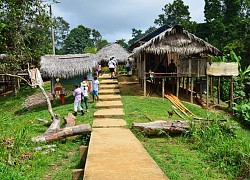 Peru: Chợ Belén nổi tiếng với "lọ thuốc tình yêu" gặp rắc rối ngay khi hoạt động trở lại