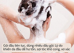 6 lý do khiến mái tóc bạn khô xơ quanh năm chứ không riêng gì mùa hanh khô