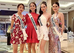 Cái kết chuyện mỹ nhân Việt đi Ai Cập thi Miss Intercontinental bị giữ hành lý, hải quan nghi buôn lậu đòi phạt gần 100 triệu