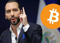 Giá Bitcoin cao kỷ lục, chính phủ một quốc gia lãi đậm nhờ tranh thủ 'bắt đáy' cách đây 1 tháng