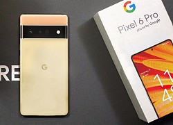 Google Pixel 6 ra mắt, giá từ 599 USD