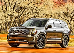 Kia Telluride Kẻ khuấy động phân khúc SUV cỡ trung tại Việt Nam