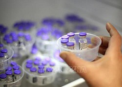 APEC nhất trí thúc đẩy các nỗ lực sản xuất và chia sẻ vaccine toàn cầu