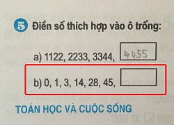 Câu đố mẹo Toán học "hại não" dành cho học sinh lớp 3, người thông minh nhắm mắt giải 2 giây là ra