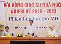 Công bố 28 hội đồng giáo sư ngành, liên ngành năm 2021