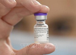 Pfizer: Vaccine của hãng hiệu quả 90,7% ở trẻ 5-11 tuổi