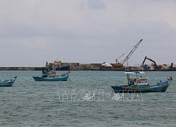 Bình Thuận cho phép tàu, thuyền ra khơi trở lại