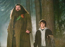 Cú lừa suốt bao năm: Hóa ra ông bác khổng lồ của Harry Potter chỉ là "hàng fake", sau lớp mặt nạ là nam thần đẹp trai này đây!