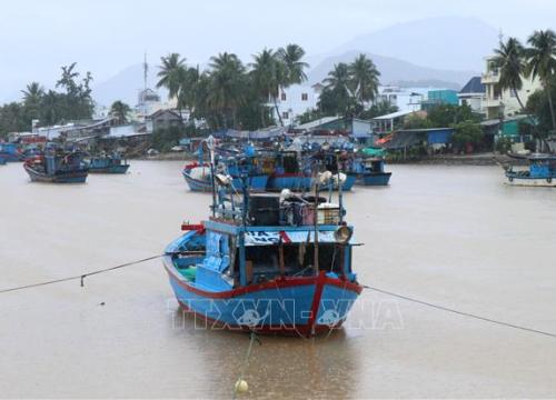 Khánh Hòa chủ động ứng phó tình hình mưa lũ