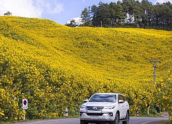 Mê mẩn mùa hoa dã quỳ Mae Hong Son đẹp như cổ tích