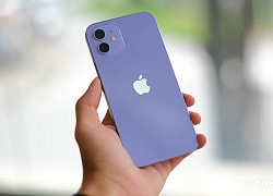 Một người Mỹ kiện Apple vì bị từ chối bảo hành chiếc iPhone nghi "hàng dựng" mua từ Việt Nam