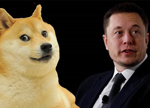 Như chưa hề tăng, Elon Musk vừa tweet 'tôi không sở hữu đồng Shiba Inu nào', ngay lập tức giá 'coin chó' giảm