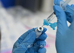 Tiêm quá sớm mũi vaccine tăng cường ngừa COVID-19 không thực sự hữu ích