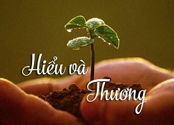 Trong đời người, có điều còn xa xỉ hơn cả tình yêu