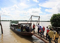 Xuôi dòng sông Hậu thăm cồn Mỹ Phước trù phú và xanh mát