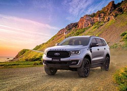 Cách sử dụng tính năng giới hạn tốc độ trên Ford Everest