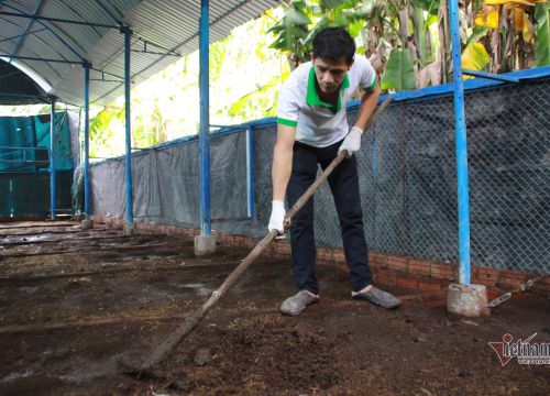 Cử nhân về nuôi giun, tỉnh khen sáng tạo khi lãi 500 triệu/năm