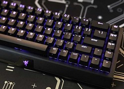 Đánh giá Razer Blackwidow v3 Mini HyperSpeed - "Nàng hoa hậu" phím cơ