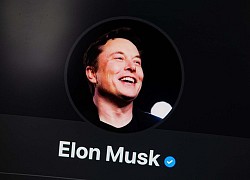 Facebook cấp tick xanh cho tài khoản giả mạo Elon Musk