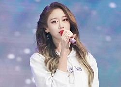 Fan bình chọn top 5 "ông hoàng" và "bà hoàng" K-pop