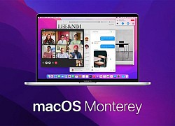 macOS Monterey gặp lỗi ngốn RAM, trình duyệt Firefox chiếm tới 80GB RAM