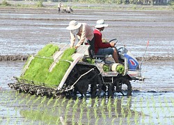 Né hạn, sử dụng phân bón thân thiện môi trường