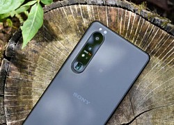 Sony củng cố thương hiệu trên thị trường smartphone