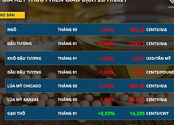 Bản tin MXV 30/11: Dòng tiền chảy mạnh vào nhóm nông sản