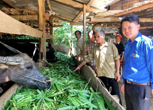 Hà Giang: Nông dân Việt Nam xuất sắc 2021 là người dân tộc Dao hiến 3.500 m2 đất để làm điều bất ngờ này