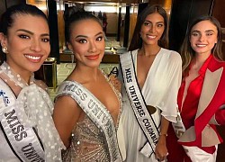 Kim Duyên nhập cuộc Miss Universe, nhan sắc chìm giữa rừng hoa