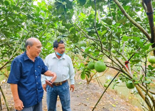 Một tỷ phú nông dân tỉnh An Giang 2 lần được tôn vinh "Nông dân Việt Nam xuất sắc", vì sao vậy?