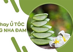 Nha đam có tác dụng gì với da mặt và làm đẹp ?