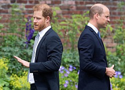 Tiết lộ lời nói phũ phàng của Hoàng tử William dành cho em dâu Meghan khiến Harry "nổi điên"