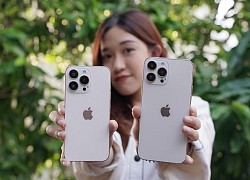 Tin xấu cho iFan: iPhone 13 không rẻ như mong đợi