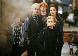 6 bí mật sốc óc về Harry Potter không có trên phim: Mụ Umbridge che giấu quá khứ động trời, có couple đẹp xỉu sau này phải chia tay!