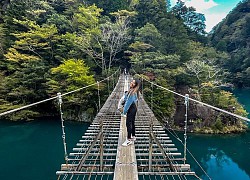 'Check in mỏi tay' ở cầu treo Yume No Tsuribashi vào mùa thu rợp lá vàng