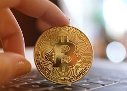 Hành trình đạt đỉnh 67.000 USD của Bitcoin