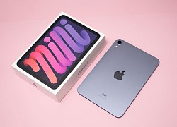 iPad Mini 6 lên kệ tại Việt Nam, máy đời cũ đồng loạt giảm giá