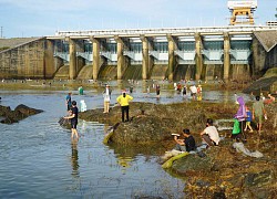 Lại đổ xô săn cá 'khủng' ở đập thủy điện Trị An