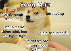 Lật tẩy những điều khiến người khác phải "ngỡ ngàng ngơ ngác và bật ngửa" về 12 cung Hoàng đạo