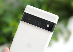 Pixel 6 Pro vào top 10 smartphone chụp hình đẹp nhất