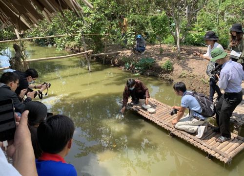 VCCI góp ý hoàn thiện dự thảo Thông tư sửa đổi hướng dẫn thi hành Luật Du lịch