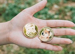 Chó Shiba đắt hàng nhờ các loại coin động vật