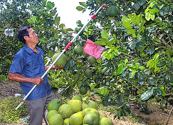 Cựu chiến binh giúp nhau làm kinh tế